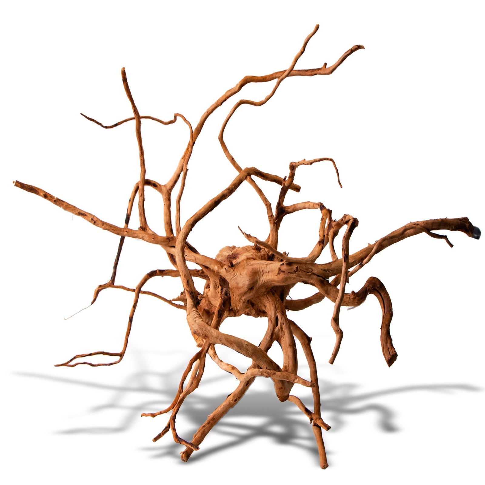 5ac8eb4fafcaf2a67d8bcb4e5051d18f