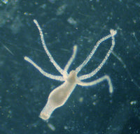 210933d7eb12de75a08317eddf6771ac