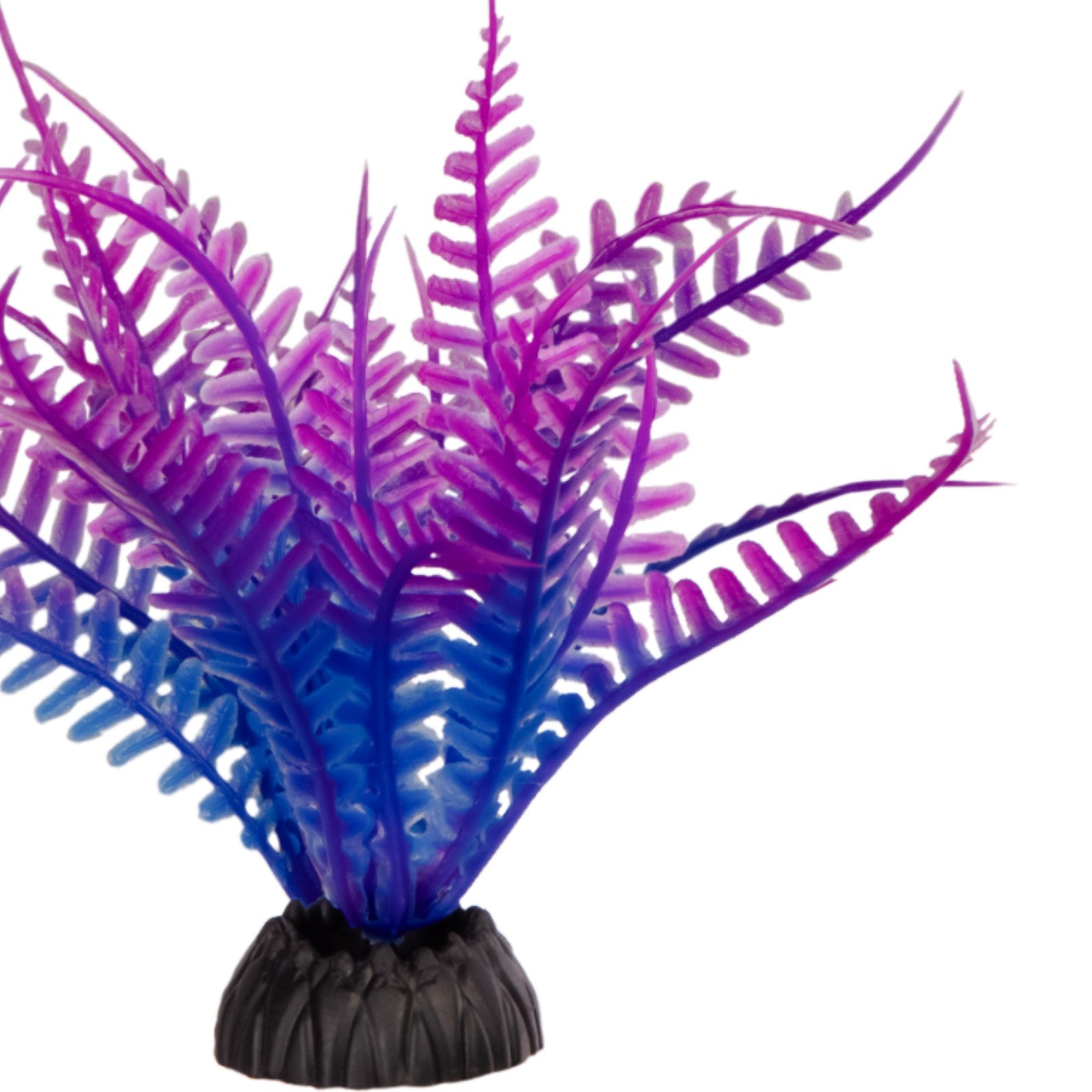 cc05bc639553eb9551ae7008cf814212