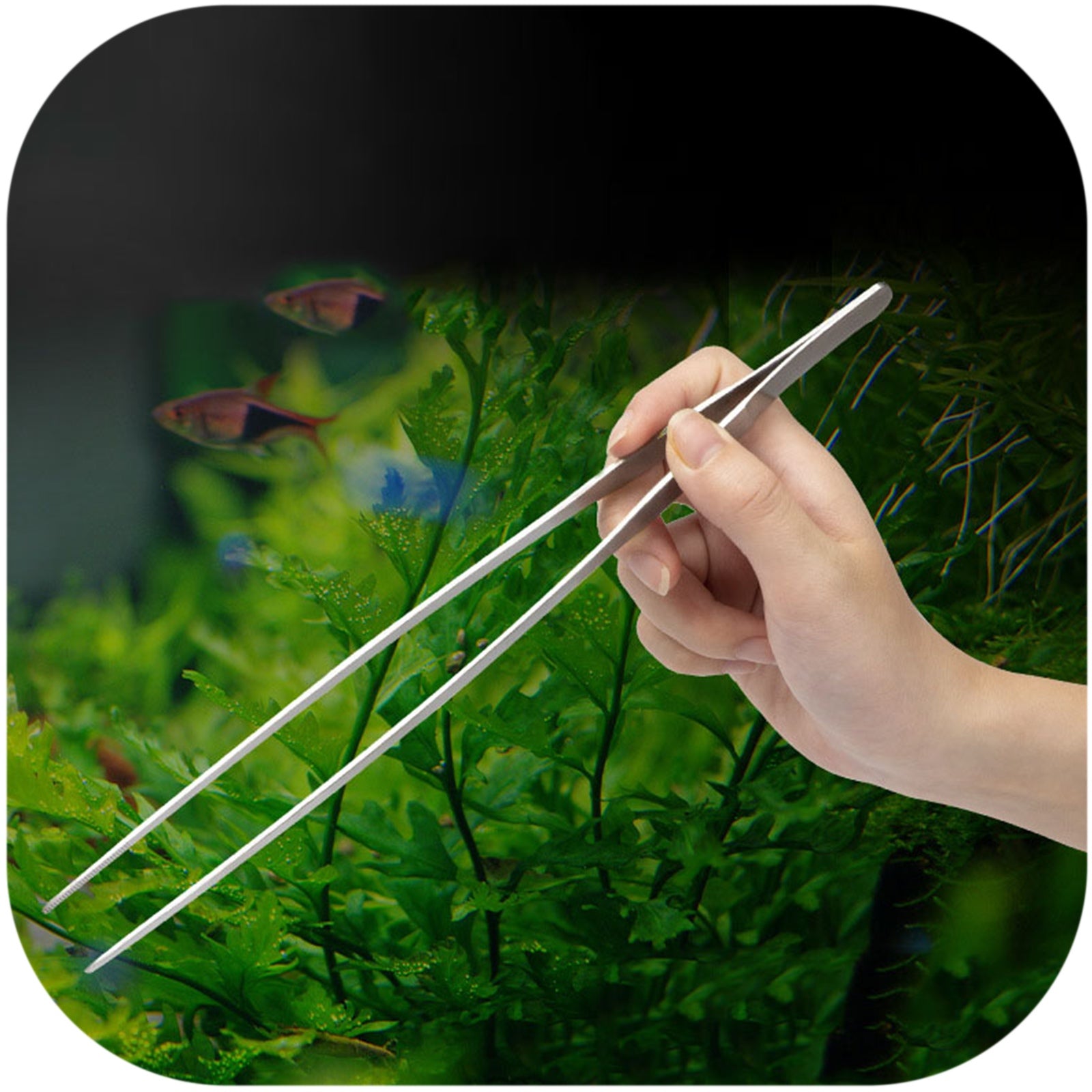 099fe39d3cfebbc295d8fef48adfc4d6