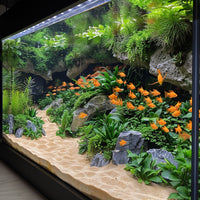 673c90517c1760c6ea14d3f831c71213