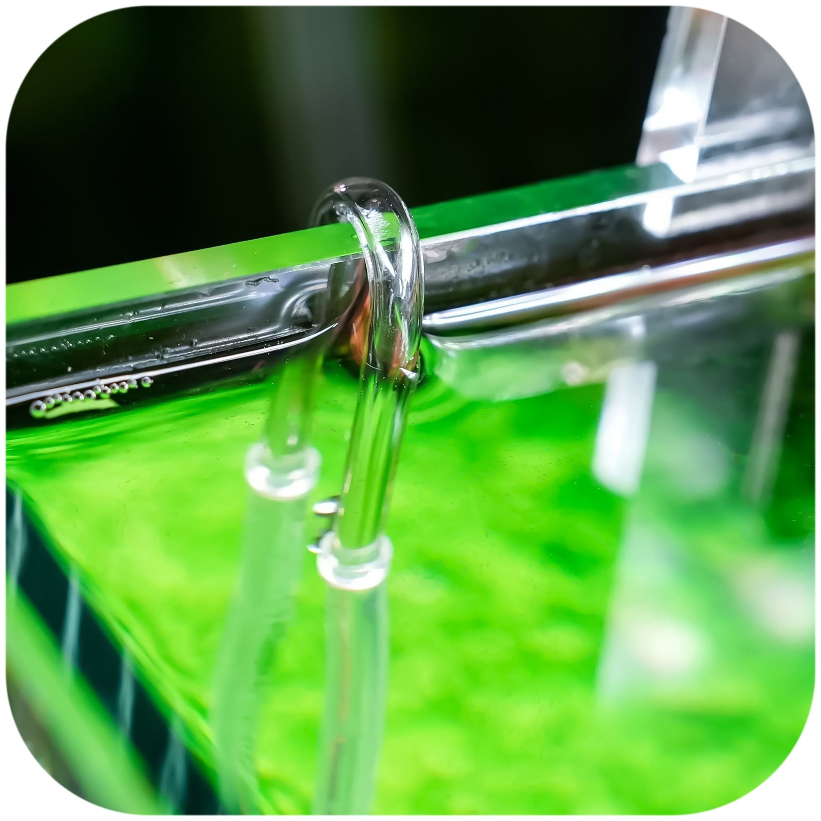 d56a4948dc3cb5273e6c2d0eb68e870e