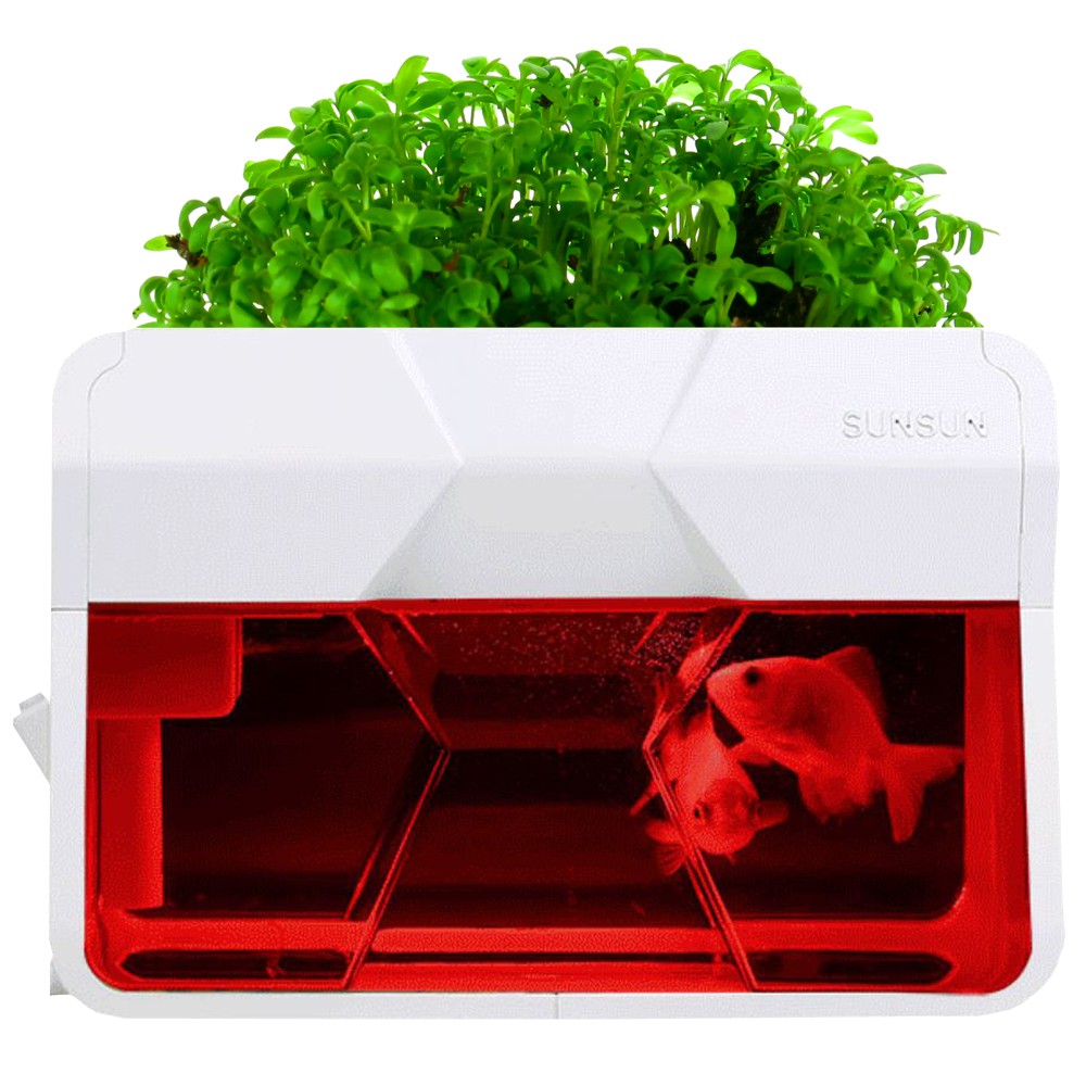 40975edb3e0eee95322f04042f62a756