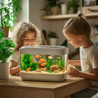 021b04f4205066ef0314294dc34781d7