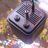 22b77b67374da6c1cc9adca9903524dd