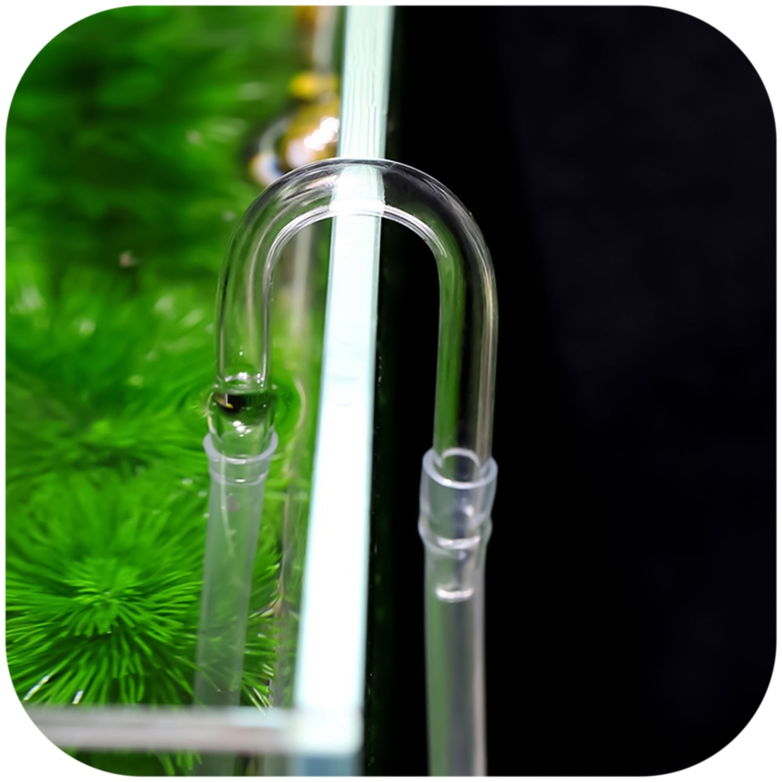 244b2b1d23aaf832005fe26d3a411380