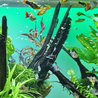 b2472211eaf1d71bd5fa7deaf3cfeddd