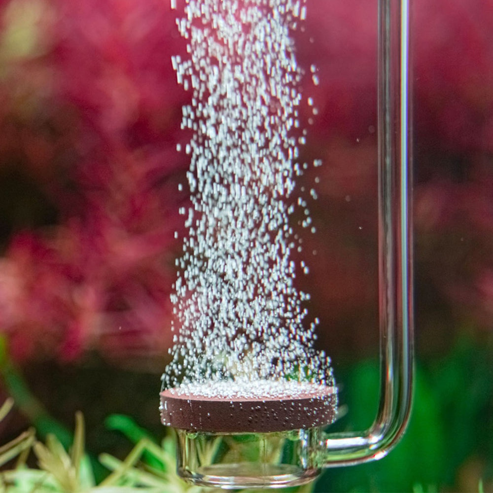 d1690c57b70c2c820c7e479488942535