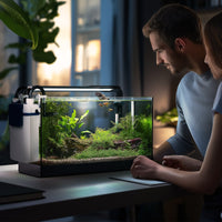 8b5c9506107fe37bff65ce1caa9deed1