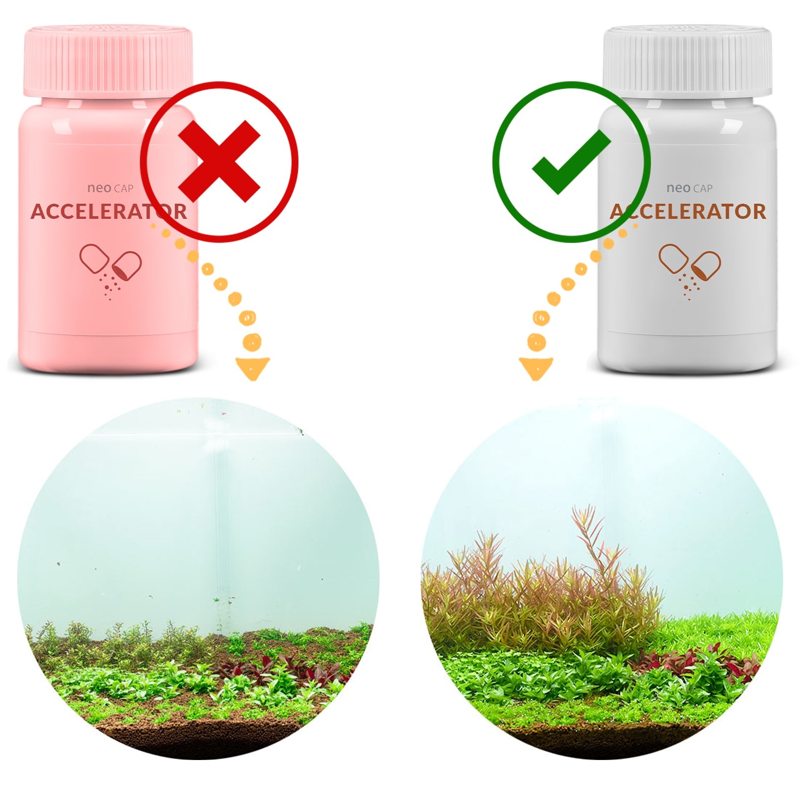 7f790751500a32511002c61b55ae4f04