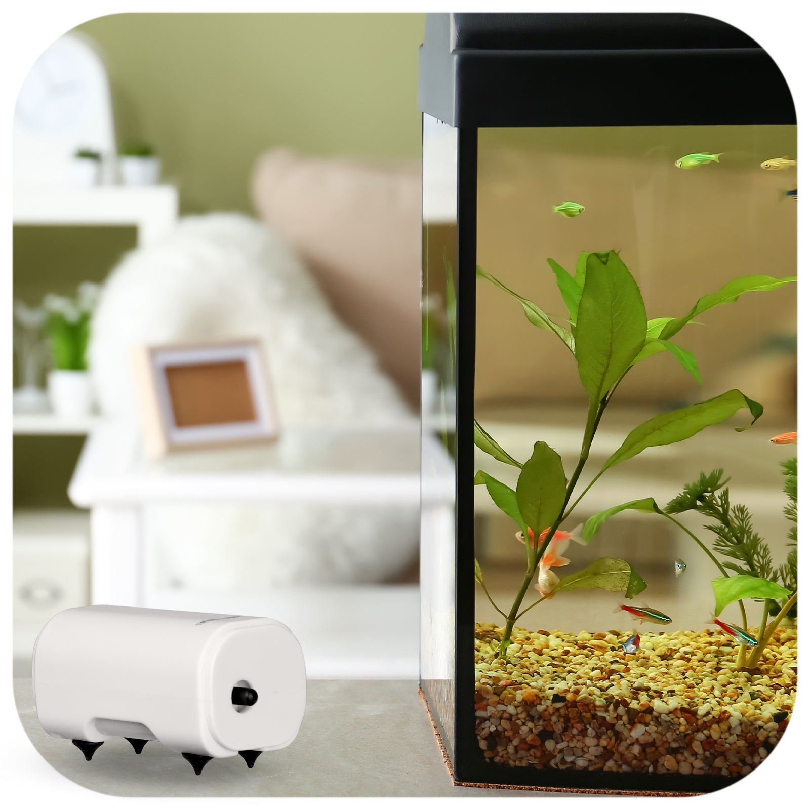 de79600f9b63ad5193837993de1ddf3e