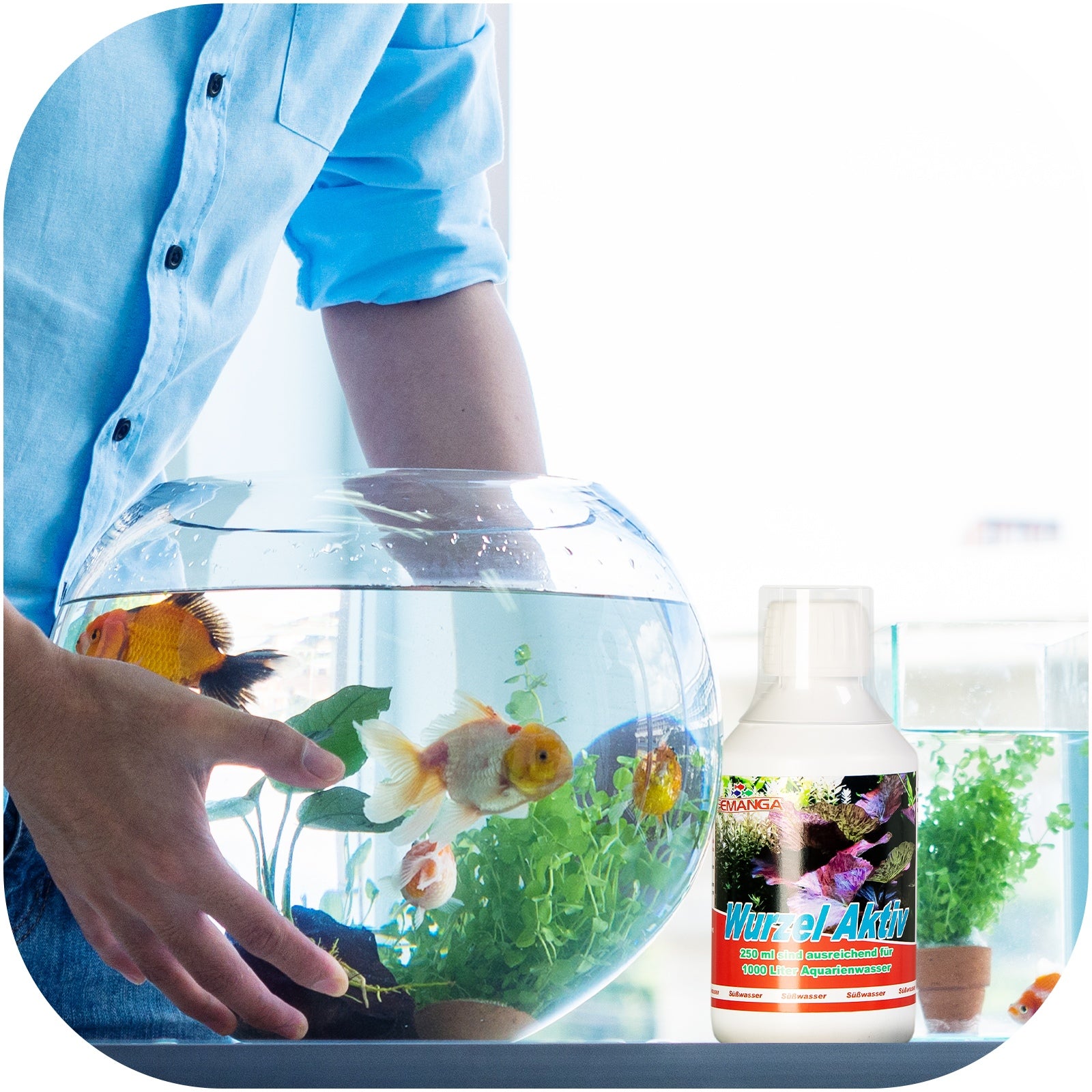 01a9102e81f9066bc05612ef51429175