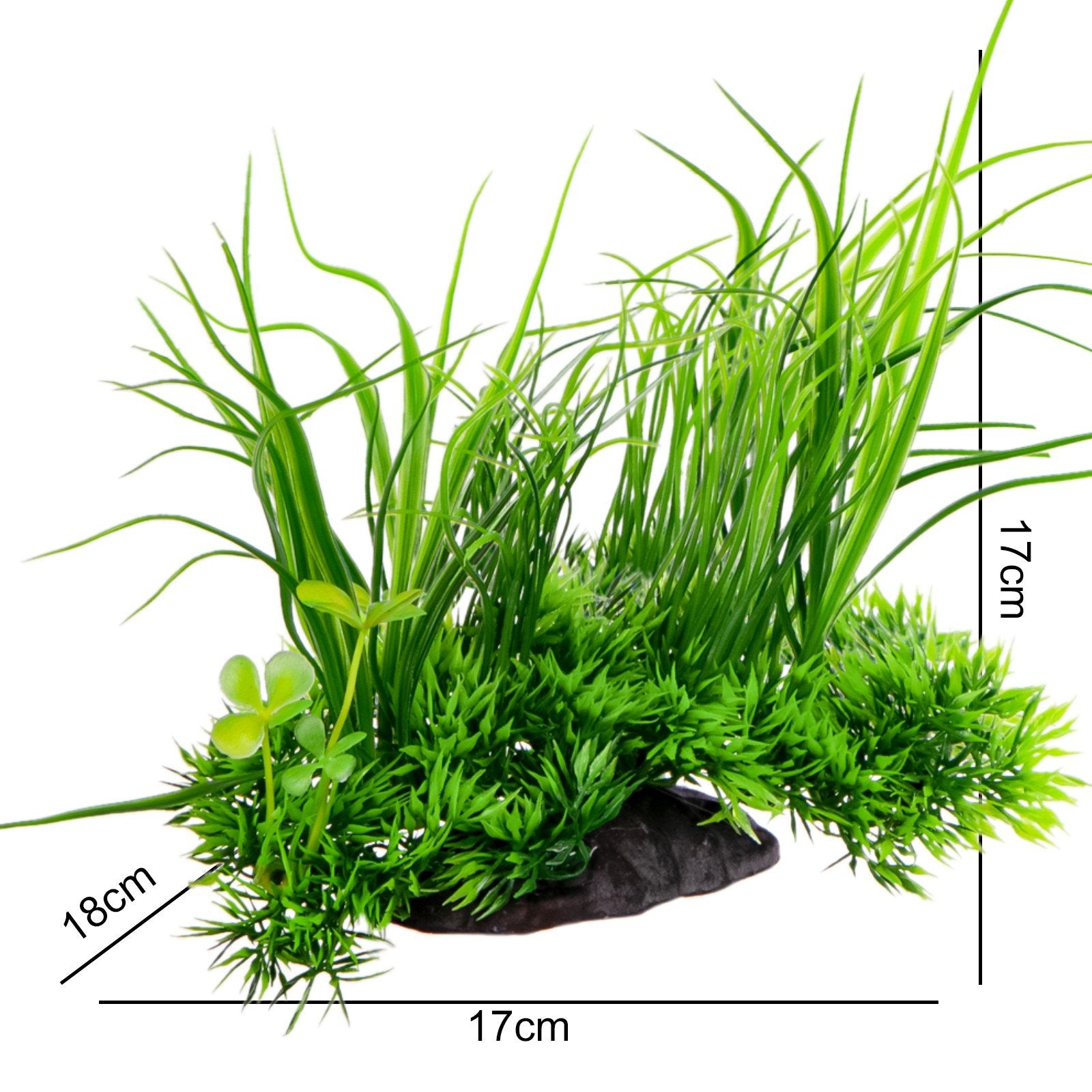 035c9477fea2ae55a95bc1c709b9a9ad