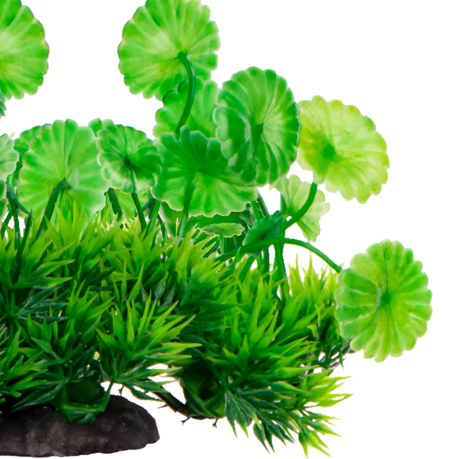 2773a076bf9a195f1a7de13f2f9922a6