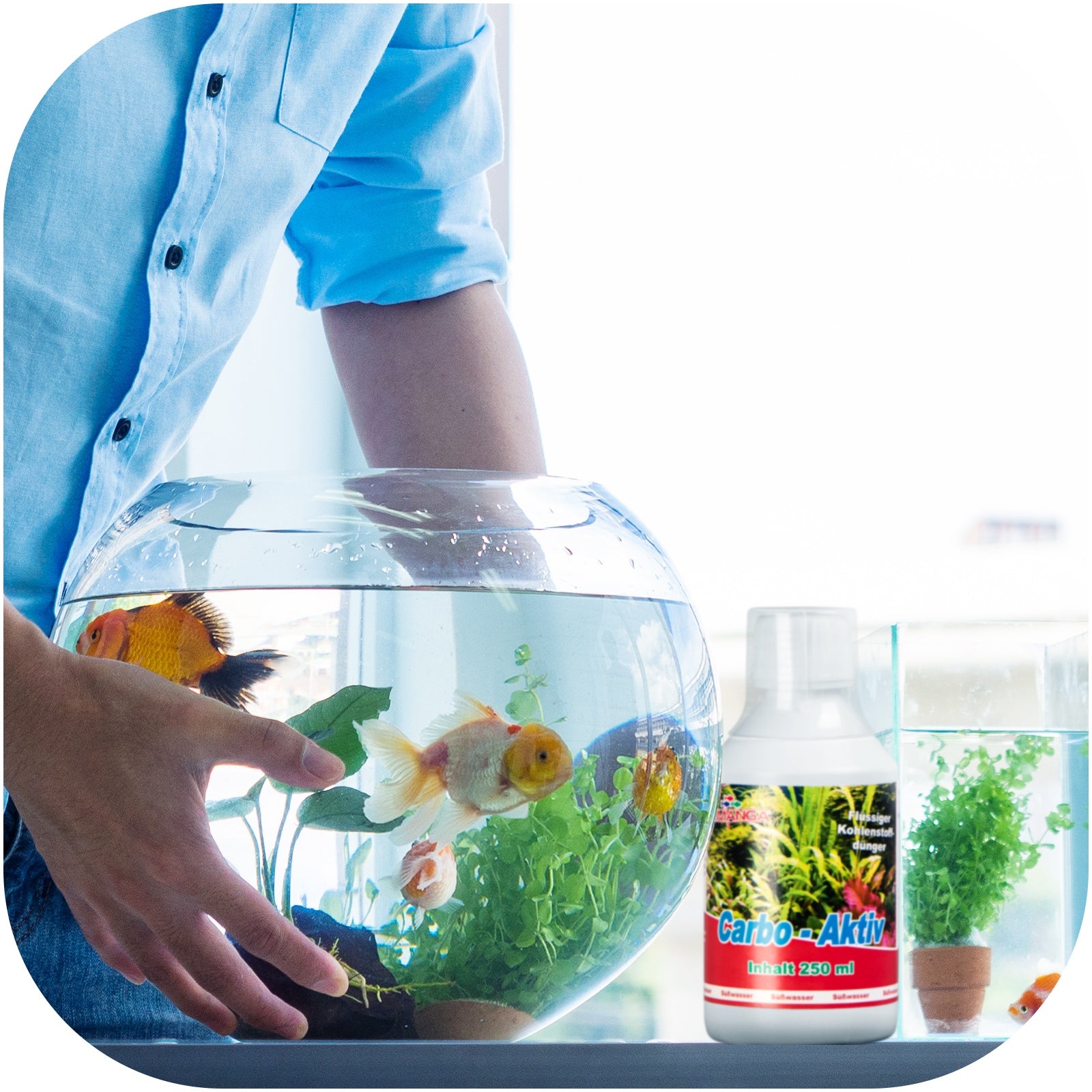 a0f87370d4b709e1ba478ff6bc5589cb