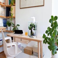 1e768fbb9ade7f578a27f6209b37d7f2