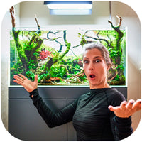 9186d31ae8e90183945cd956d7be8ec1