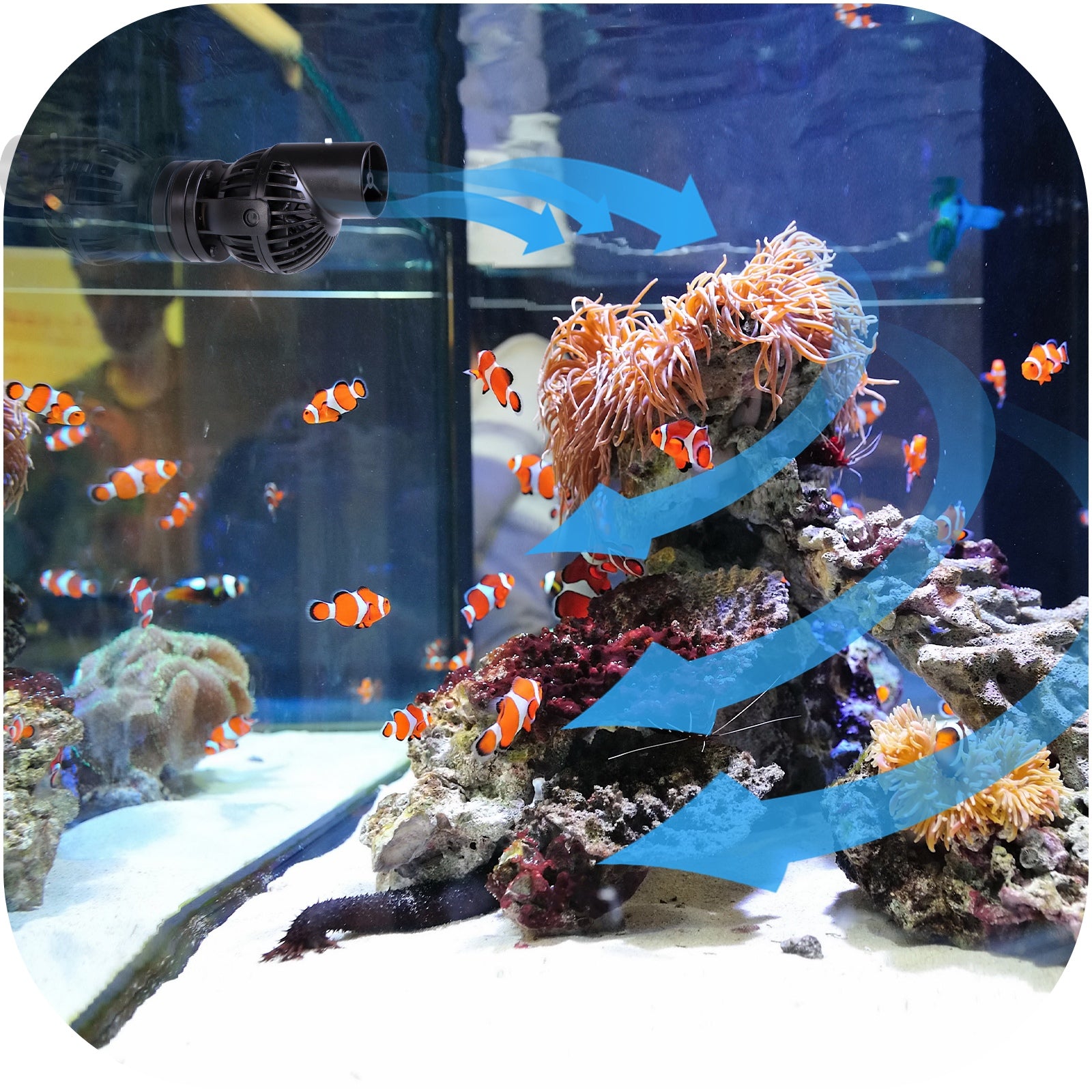 8cba0426034b560411c2bd0206477114