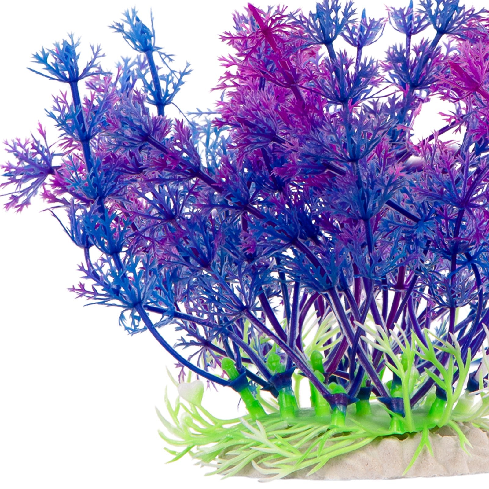 a718df5bf5c5cbfaf0d312ae1f91db7e