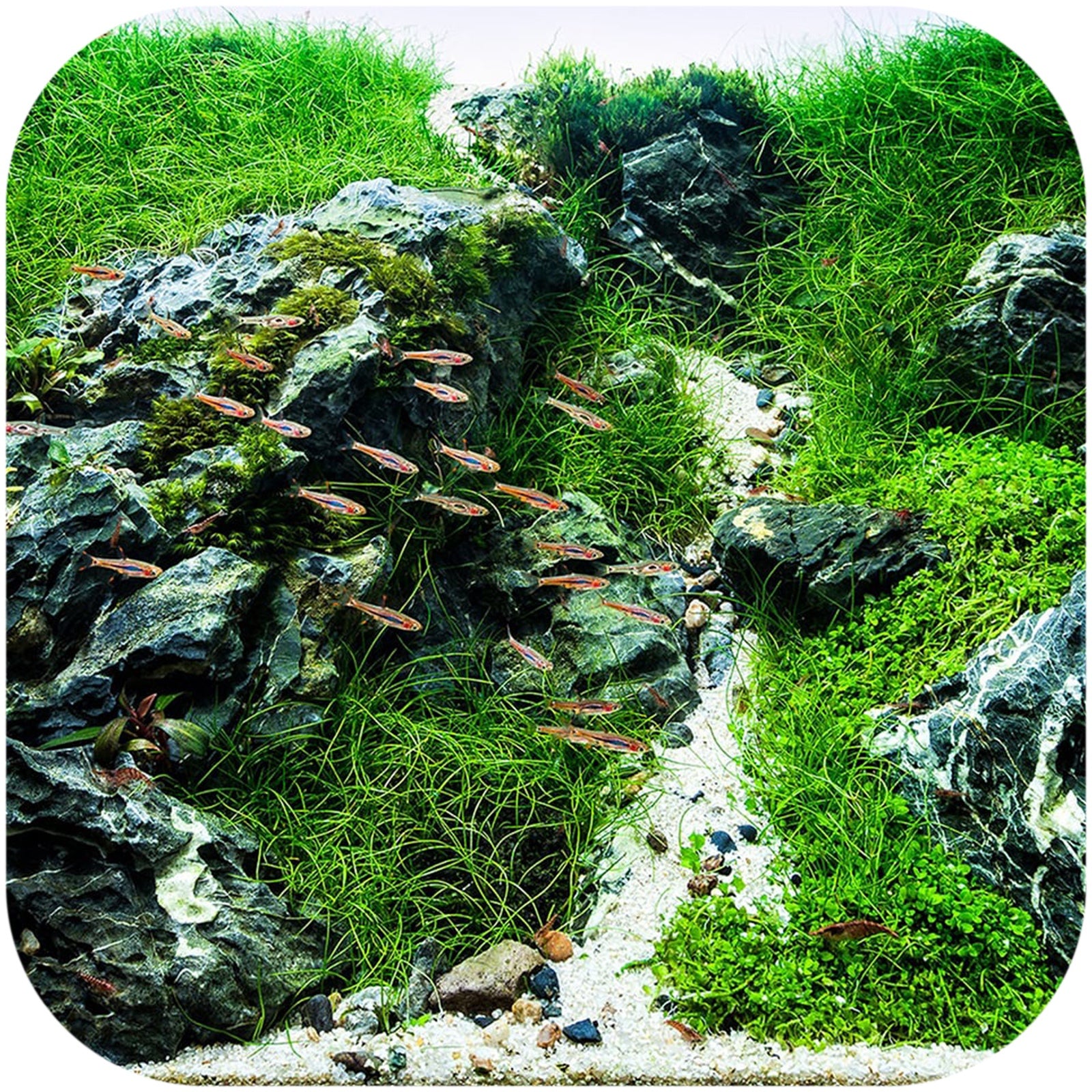 d17c0600ed3bf142904305e522472b90