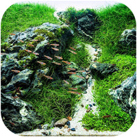 d17c0600ed3bf142904305e522472b90