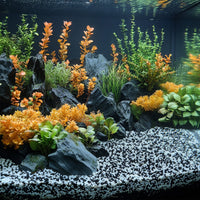 ecde8fdd29db91c5defaadac8be5a821