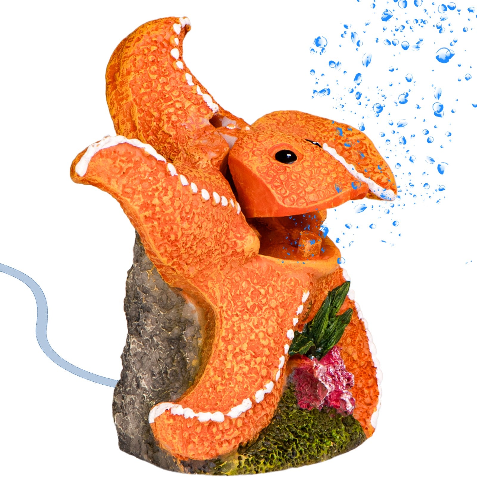 cb55a71b585fdaf9f3a7b756cfdf8195