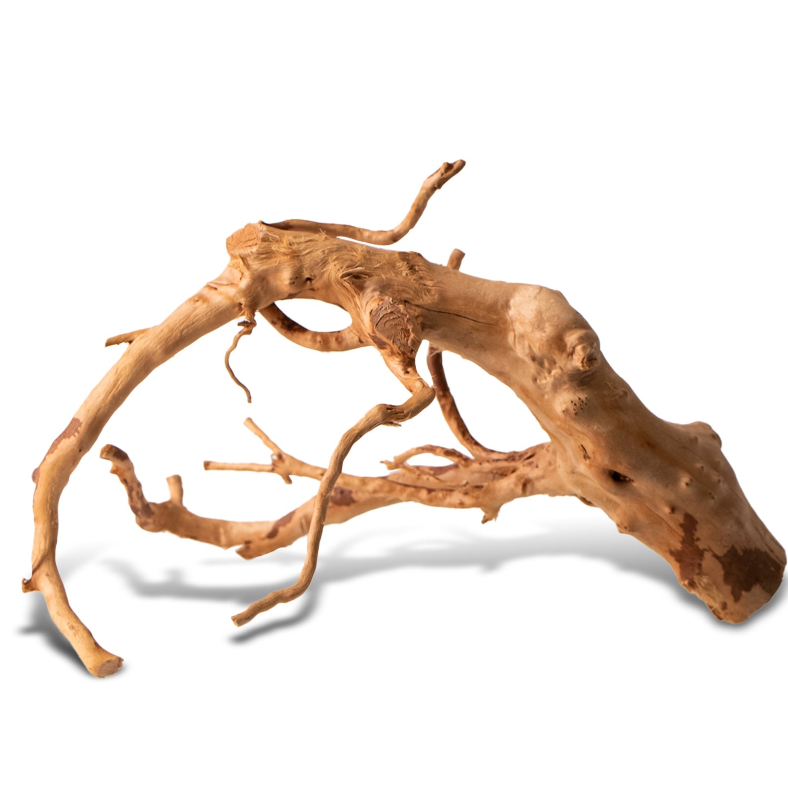 31b4488b59f81b4a29f3998023217762