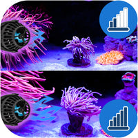 65b93d2b878422ad9cd24f96699c2eb5