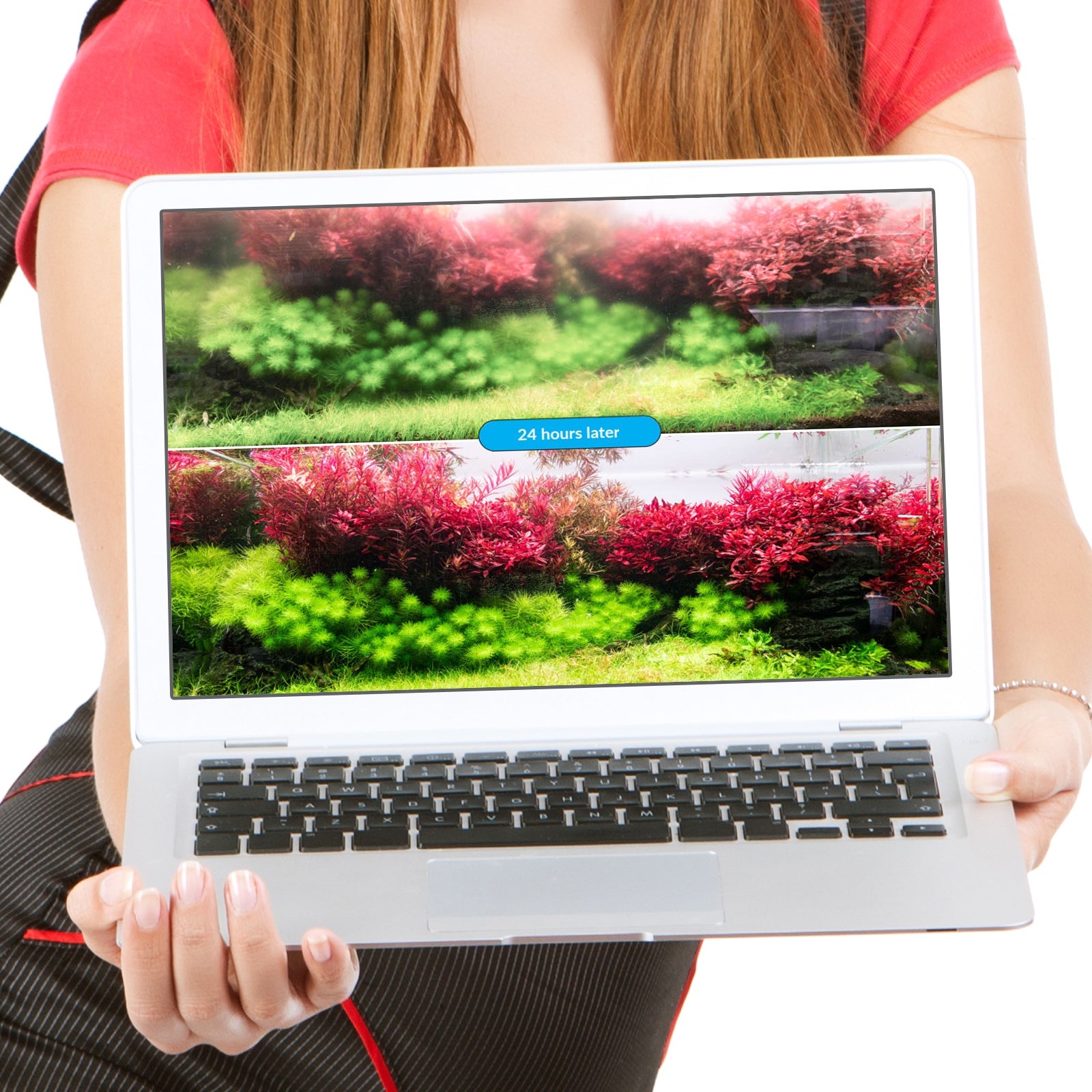 04f6995364c99db77dc7243b55dbc9fd