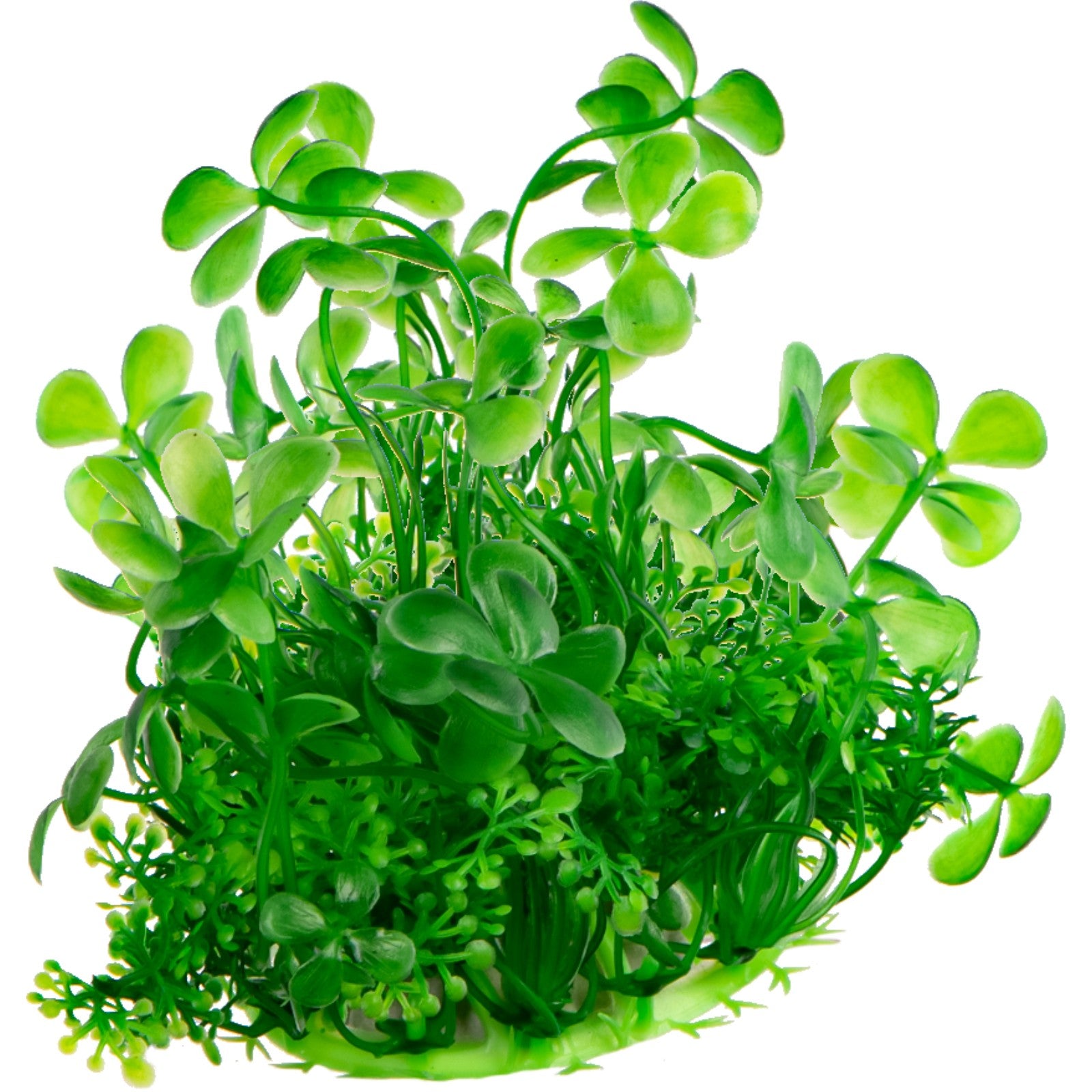 87691ba53bc0ab5d4e0d2e93f3893654