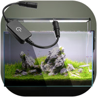 3502495590d202391ccdd5a87d4ee3ec