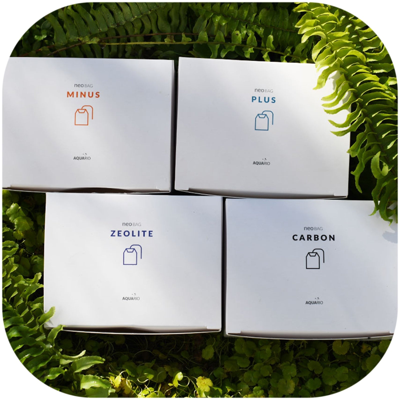 9f09f1d193864e932d52b9de78495360