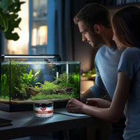 3504cb8f5186a5ebb3ad773b7b5c3813