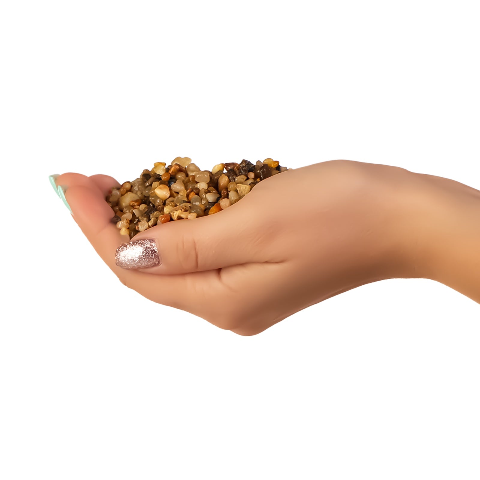 b31d11d1e5e204a1b52d23d5ae519dd7