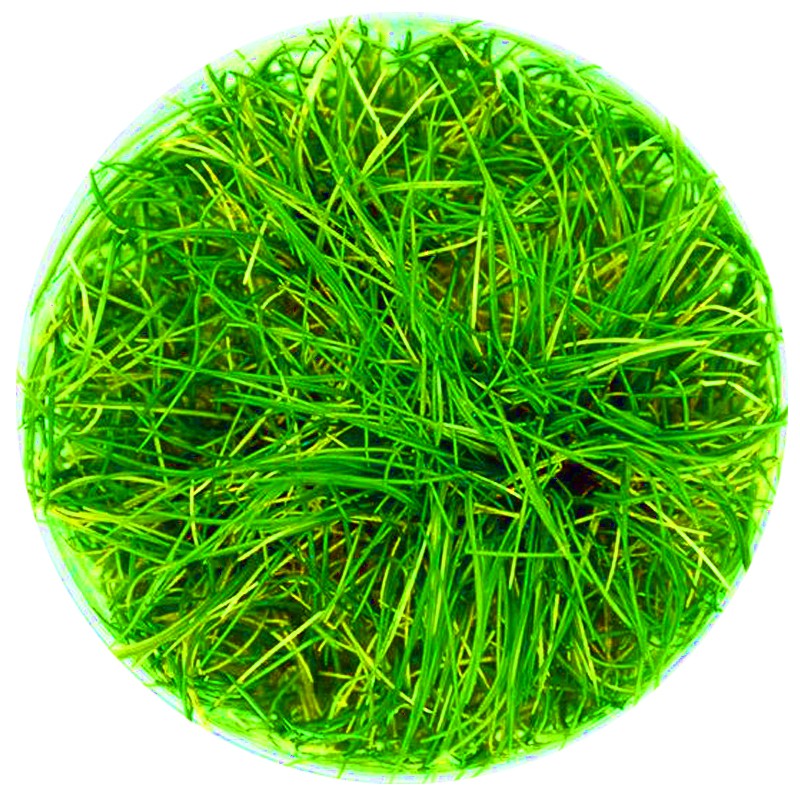 9ae491faaa87009daf6489b9c7024279