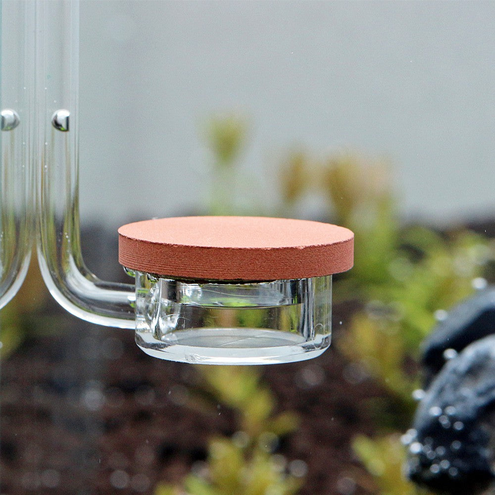 9ec15d5ab5219324ff05c108ea37ae5b