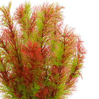 5d19842ddcc5368844f28683a357585f