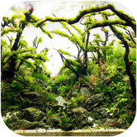 9d5b1d24c9792b26c42d5d43f24edc2e