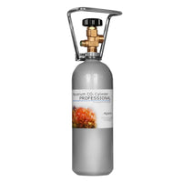 877e9e17bb20e12a07e1d1257911189e