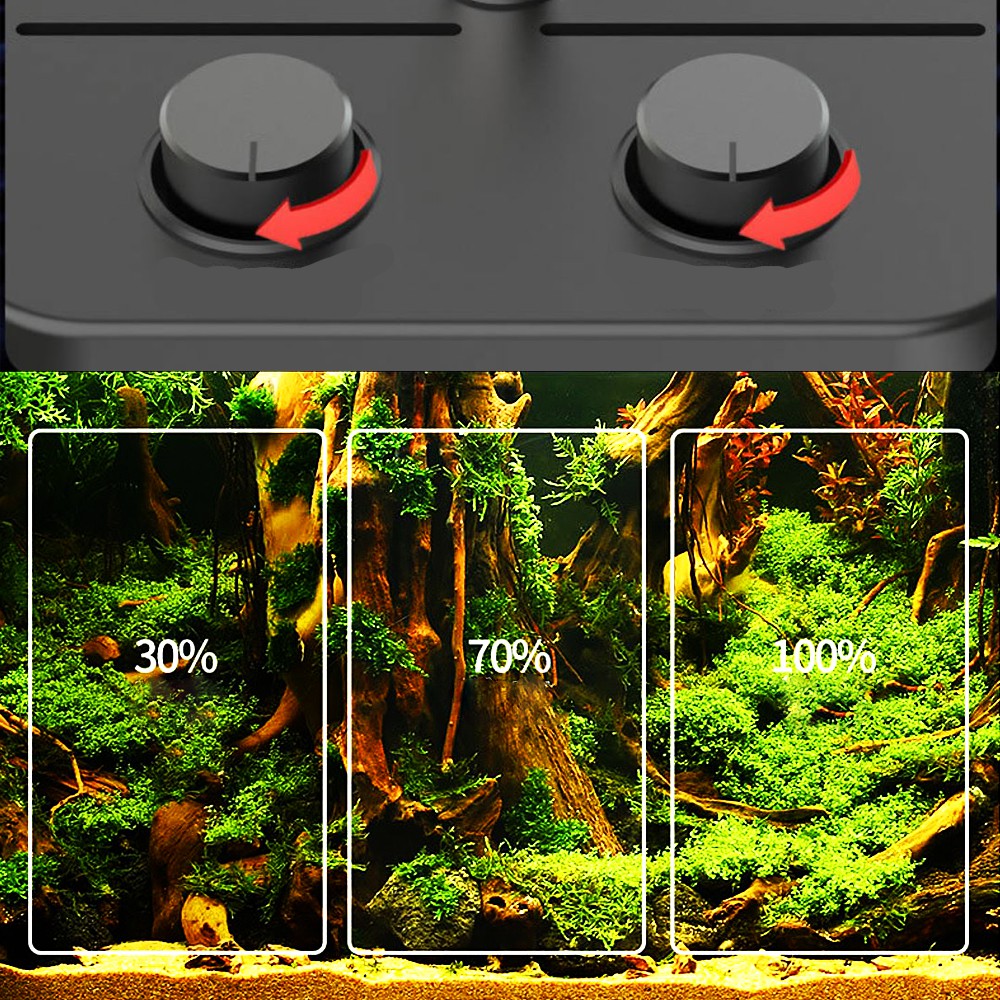 808f61280484ae3c738e3e10c43053de