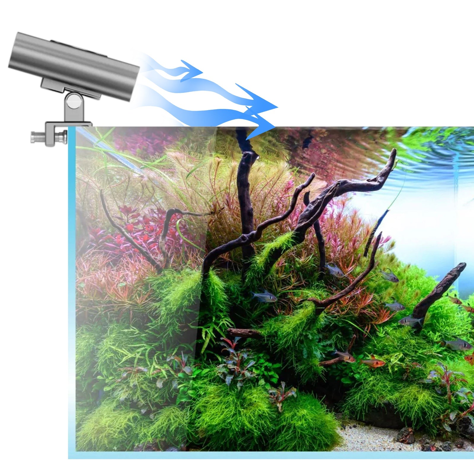 7822f79842dd0ede3c0b82965aca20dd