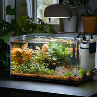 7801e16010679b92a1d7bd2d3bc8efa3