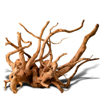 79e255cf34fac9407e3d5a5c2ec4e058