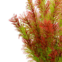 6f92f89bc850e2cba8815173258ad41c