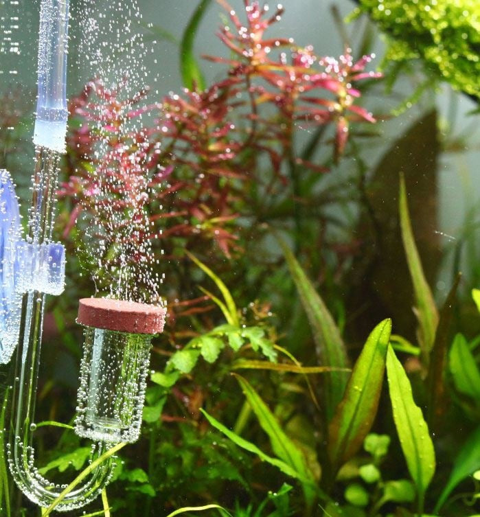 98ea097ea7acaf4ae3fff1714a187f0c