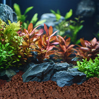 7010d9602bc81e224c956d48302cd4c3