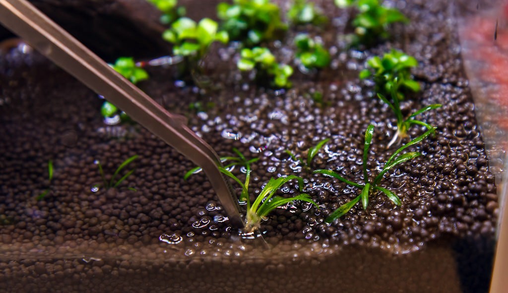 61871db5c18d7ebacfaaaf9e8813e045