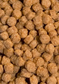 d7604e18b31ee1706c9181bc8ac02319