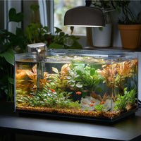 195a34f81057e549038670659dcb7a62